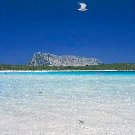 Le Canne * San Teodoro (Sardinia)