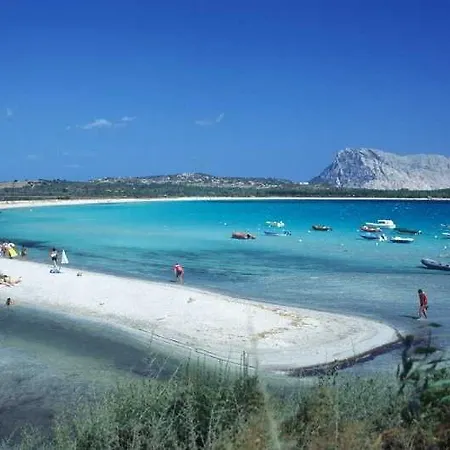 Le Canne San Teodoro (Sardinia)