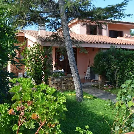 Le Canne