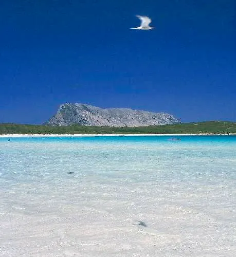 Le Canne * San Teodoro (Sardinia)