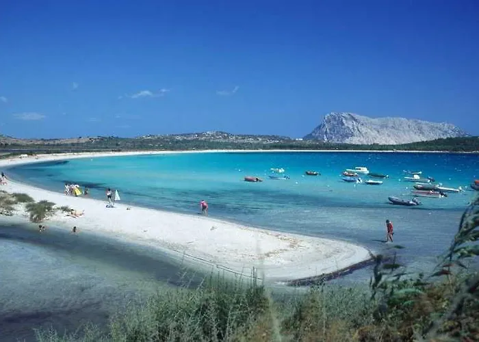 Le Canne San Teodoro (Sardinia)